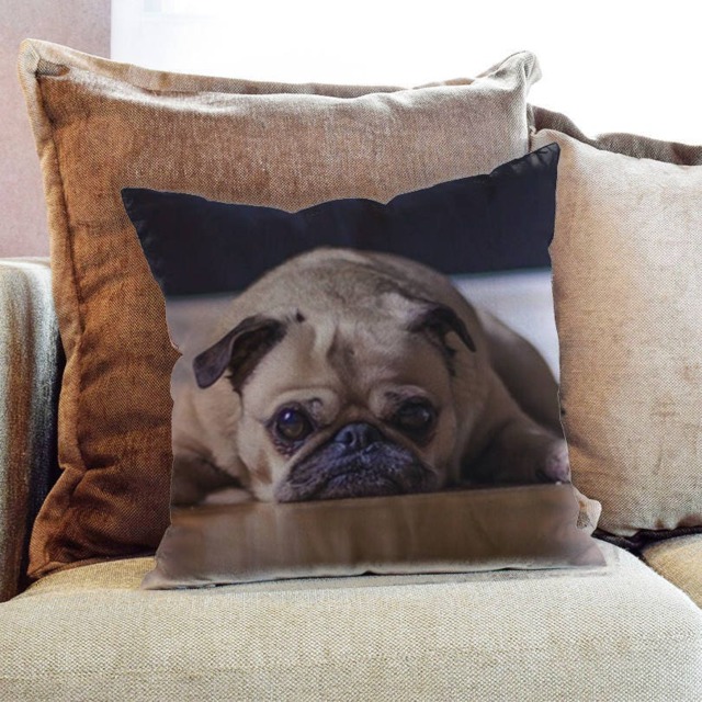 Pug Dog Photography - Decorative Pillow Throw Cushion Fabric , Case Cover Or With Filling