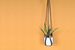 Dark Brown Leather Hanging Planter Indoor Plant Hanger