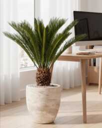Algar Beige Plant Pot 34cm Composite Indoor/Outdoor Planter - thumbnail 1