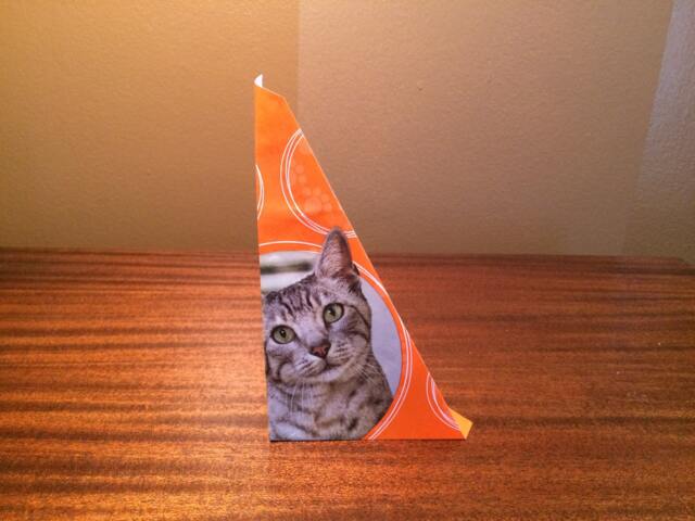 Cat Food Cone