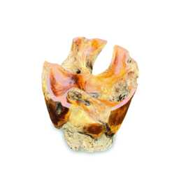Teak Root Round Lombok Coffee Table Extra Small With 70cm Glass - thumbnail 3