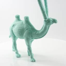 Camel + Palm Trees - thumbnail 4