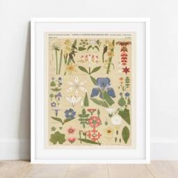 Owen Jones Vintage Botanical Print Leaves & Flowers Wall Art - thumbnail 3