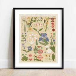 Owen Jones Vintage Botanical Print Leaves & Flowers Wall Art - thumbnail 2