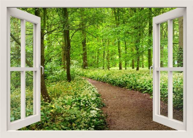 Path To The Forest Wall Decal, Trees 3D Window View Nature Sticker Mural, Frame Living Room Home Decor