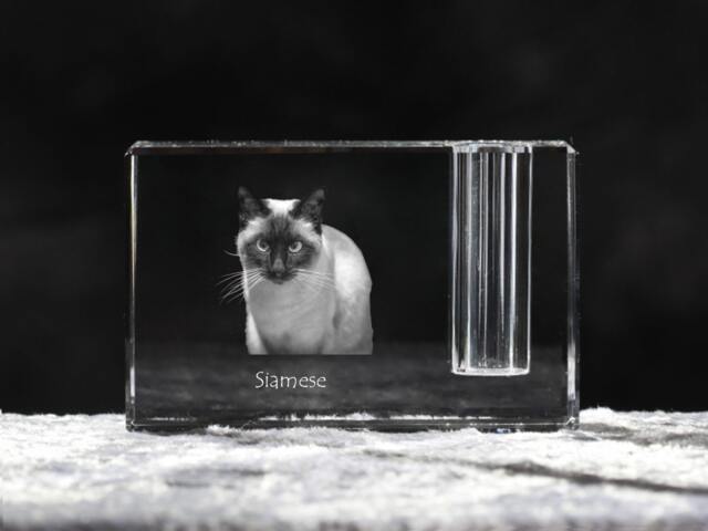 Siamese Cat, Crystal Pen Holder With Souvenir, Decoration, Limited Edition, Collection - image 1
