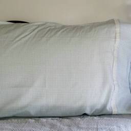 Pair Of Soft Cozy Cotton Flannel Queen Size Pillowcases. 6 All Cotton Fabrics To Choose From. Handmade. Ships Free in Usa - thumbnail 2