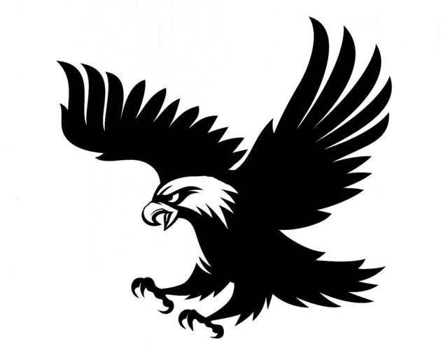 Hawk Eagle Attack Wall Art Decal Silhouette Car Van Vinyl Side Sticker Hood Graphic Window Door Sign Motorhome Campervan