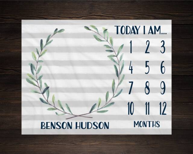 Baby Milestone Blanket Month Growth Tracker Fleece Shower Newborn Gift Minky Boy Neutral Nursery - image 1