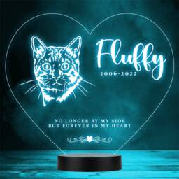 Cat Pet Loss Memorial Forever in My 1 Personalised Gift Colour Night Light