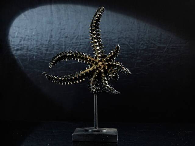 Decorative Small Starfish Sculpture Handmade Sea Star Statue, Stylish Bookshelf & Aquarium Decor - image 1
