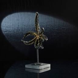 Decorative Small Starfish Sculpture Handmade Sea Star Statue, Stylish Bookshelf & Aquarium Decor - thumbnail 2