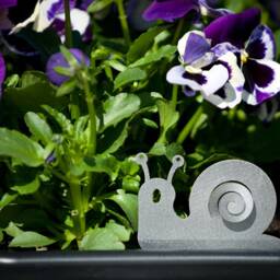 Quirky Stainless Steel Snail Plant Pot Decor, Garden Ornament, Houseplant Decoration, Cute Accessory - thumbnail 2