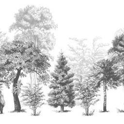 3D Forest Wallpaper, Black & White Wall Mural, Peel Stick - thumbnail 3