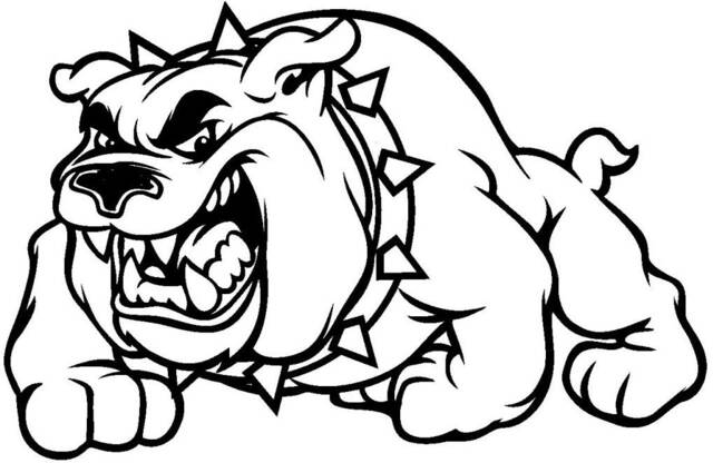 British English Bulldog Wall Art Decal Car Van Bonnet Vinyl Side Sticker Hood Graphic Window Sign Motorhome Campervan Bull Dog Animal