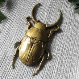 Large Beetle Wall Hanging, Bug Art, Insect Decor, Unusual Gift, Goth Gold Bug, Entomology Gift - thumbnail 4