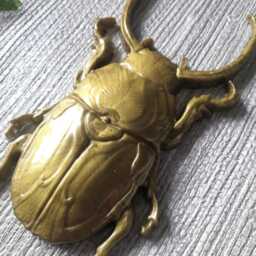 Large Beetle Wall Hanging, Bug Art, Insect Decor, Unusual Gift, Goth Gold Bug, Entomology Gift - thumbnail 2