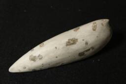 Bird Alabaster - Night Swallow - Smooth Sculpture - thumbnail 1