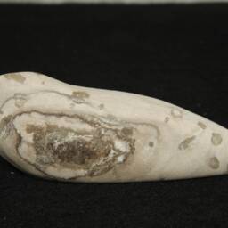 Bird Alabaster - Night Swallow - Smooth Sculpture - thumbnail 3
