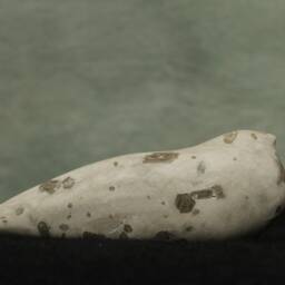 Bird Alabaster - Night Swallow - Smooth Sculpture - thumbnail 2