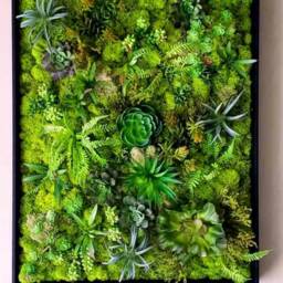 Faux Succulent Moss Wall Art, Handmade Preserved Moss Wall Picture, Picture Black Frame, Vertical&horizontal Frame - thumbnail 2