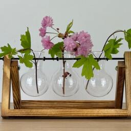 Hydroponic Glass Planter Propagation Home Decoration Decor Flowers Plant Gardener Desk Office House Gift - thumbnail 4