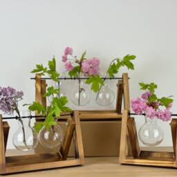 Hydroponic Glass Planter Propagation Home Decoration Decor Flowers Plant Gardener Desk Office House Gift - thumbnail 3