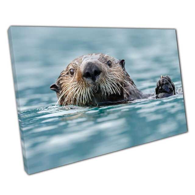 Adorable Sea Otter Swimming Canvas Print Charming Ocean Wildlife Wall Art For Home & Office Decor - image 1
