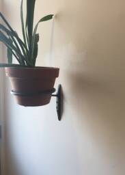 Ufo #4 Wall Mount Hanging Plant Holder - Medium/Large - thumbnail 1