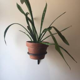 Ufo #4 Wall Mount Hanging Plant Holder - Medium/Large - thumbnail 2