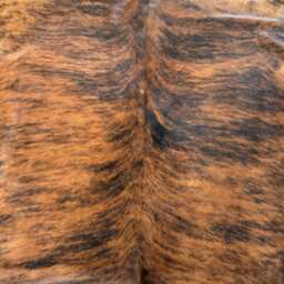 Medium/Large Sized Brindle Genuine Cowhide Rug, Hair On Hide Sold As Seen - thumbnail 4