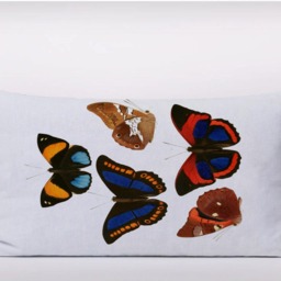 Butterfly Vintage Botanical -Cushion Cover Case Or Stuffed With Insert - thumbnail 2