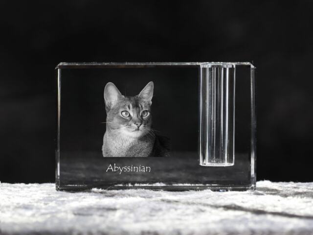 Abyssinian Cat, Crystal Pen Holder With Souvenir, Decoration, Limited Edition, Collection - image 1
