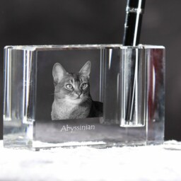 Abyssinian Cat, Crystal Pen Holder With Souvenir, Decoration, Limited Edition, Collection - thumbnail 3