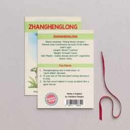Wooden Zhanghenglong Dinosaur Christmas Tree Decoration, Birch Plywood Lover Gift, Keepsake, Watercolour Art - thumbnail 2