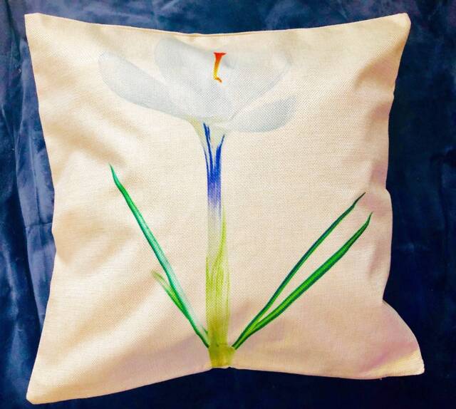 Spring Decorative Pillow Covers - image 1