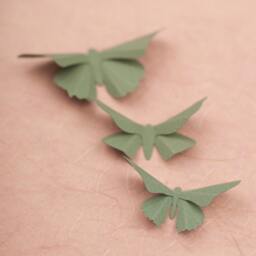 3D Butterfly Wall Art Spruce Green Butterflies For Girls Room, Nursery Decor - thumbnail 3