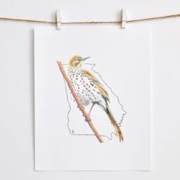 Georgia State Bird Art Print For Living Room Nursery Gallery Wall Brown Thrasher Nature Decor - thumbnail 4