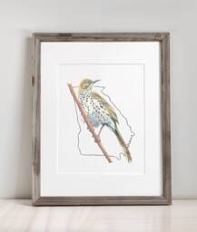 Georgia State Bird Art Print For Living Room Nursery Gallery Wall Brown Thrasher Nature Decor - thumbnail 1