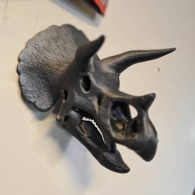 Triceratops Skull Wall Art - Wall Decor 3D Printed - image 1