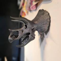 Triceratops Skull Wall Art - Wall Decor 3D Printed - thumbnail 3