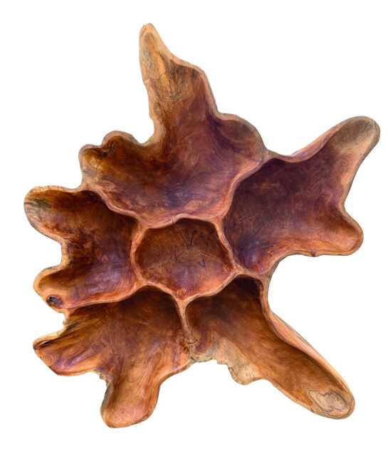Teak Root Wall Art Sculpture Large 100 X 70cm - image 1