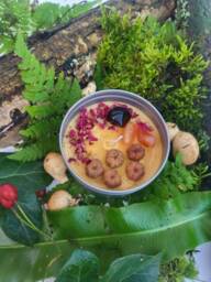 Winter Warmer Pumpkin Candle Quartz Wicca Magik Floral Abundance Carnelian Crystal Stones Obsidian Christmas Gift