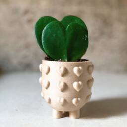 "Wood Planter ""Hearts" - thumbnail 2