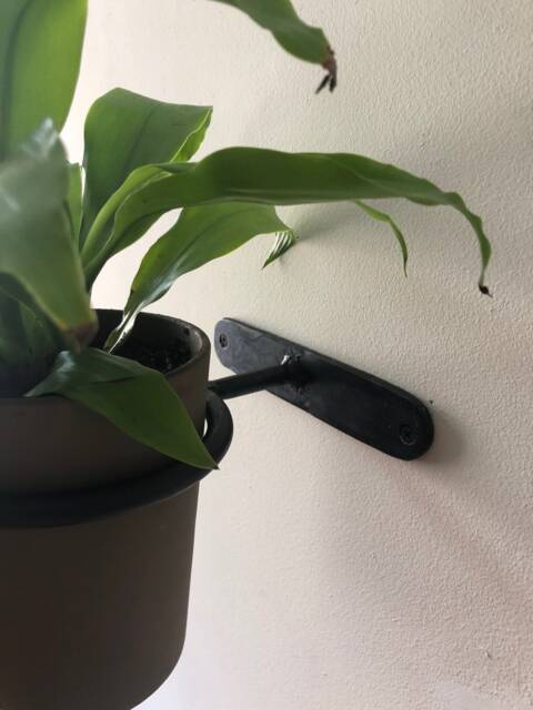 Ufo #3 Wall Mount Hanging Plant Holder - Small/Medium - image 1