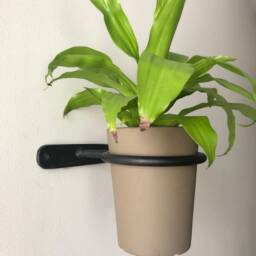 Ufo #3 Wall Mount Hanging Plant Holder - Small/Medium - thumbnail 3