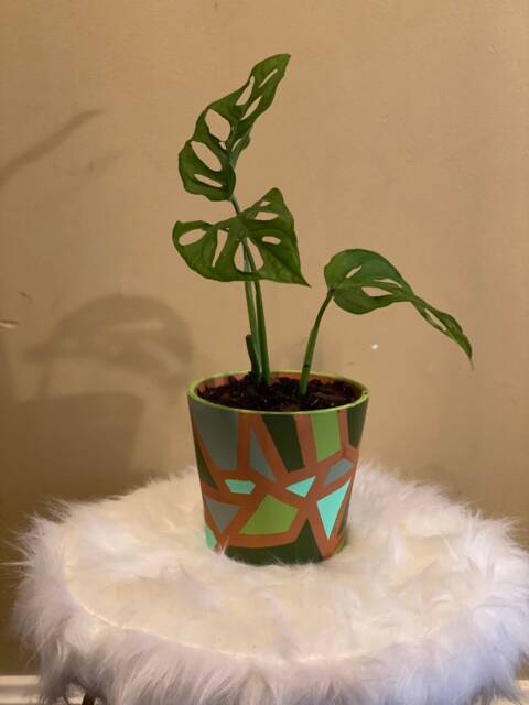 Personalized Painted Pot - image 1