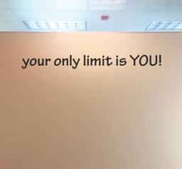Inspirational Wall Decal For Classroom , Your Only Limit Is You Office Vinyl Sticker, Chiropractor, Physical Therapy, High School 369 - thumbnail 1