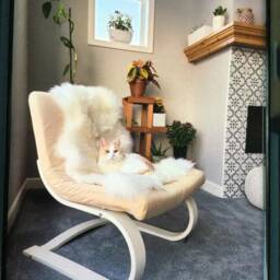 Natural White Merino Sheepskin Rug - Different Sizes - Scandinavian Home Decor - thumbnail 3