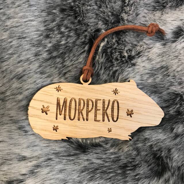 Christmas Personalised Guinea Pig Bauble - Tree Decoration - image 1